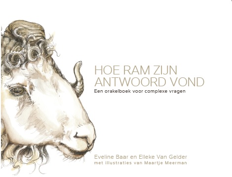 Complexiteit en sociale innovatie